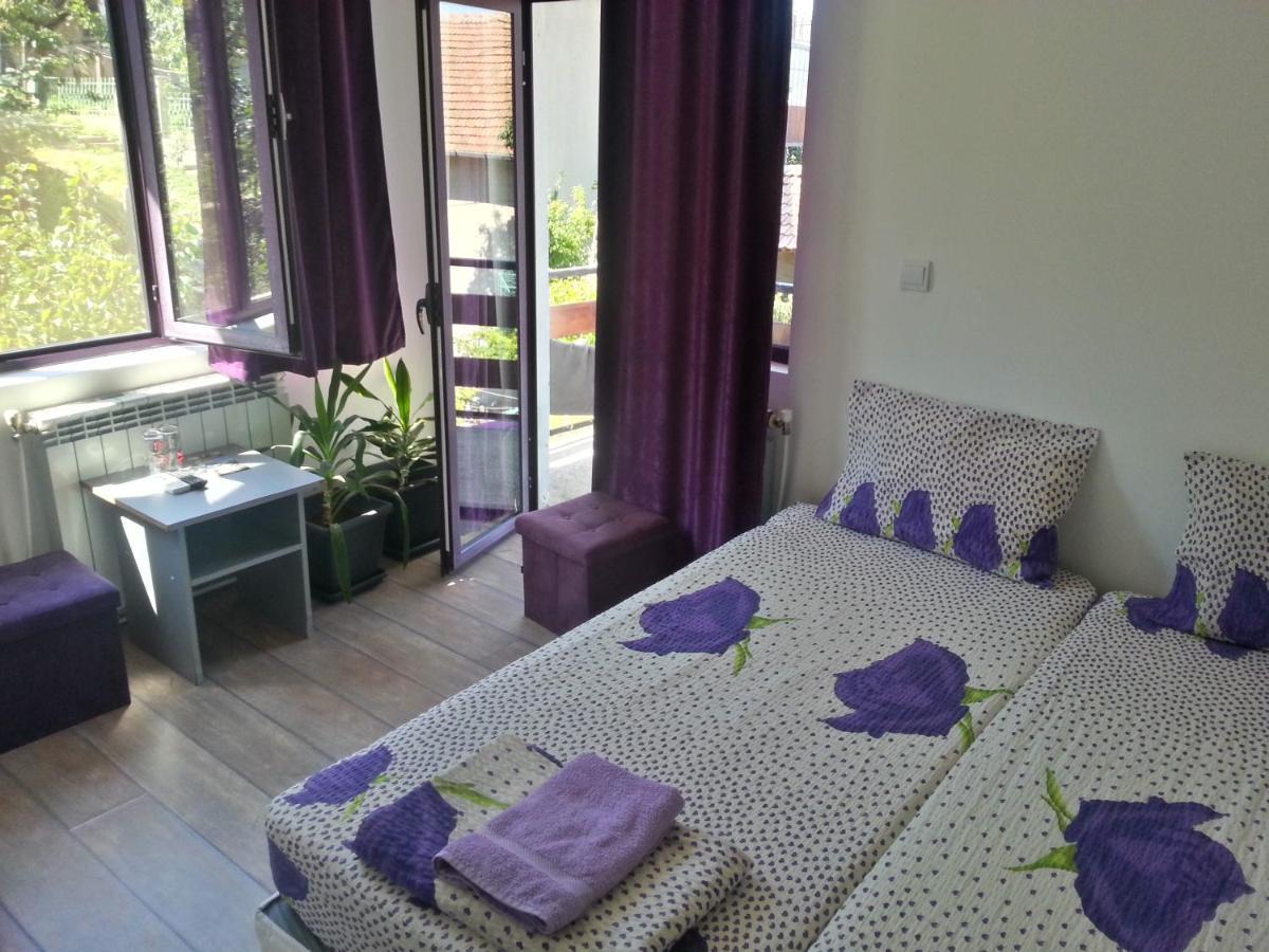 Guest House Bedrock Bełogradczik Zewnętrze zdjęcie