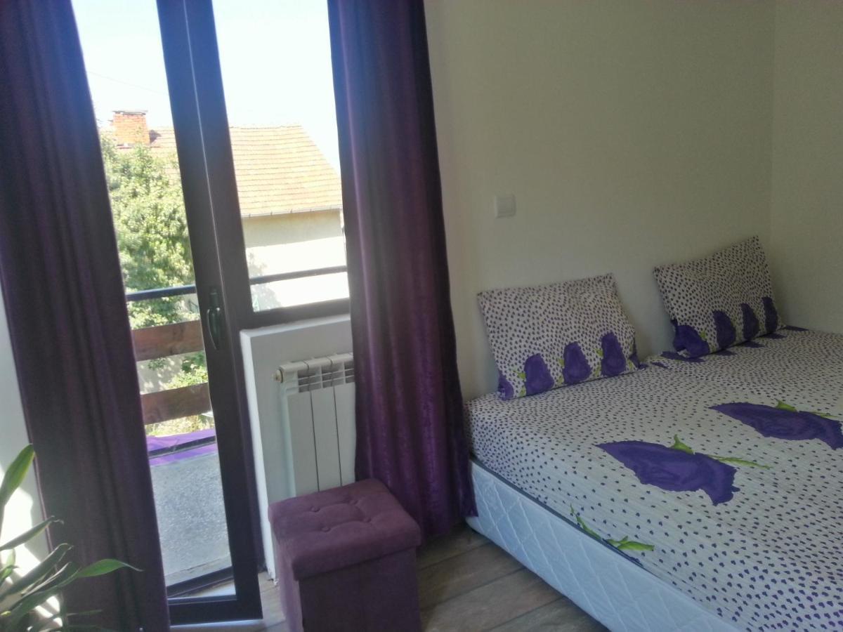 Guest House Bedrock Bełogradczik Zewnętrze zdjęcie